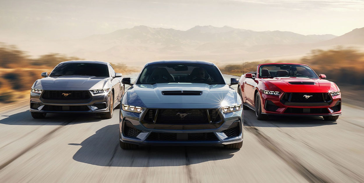 galeria-06 (3) galeria-06 (3)